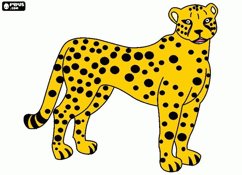 gratis malvorlagen Gepard normal