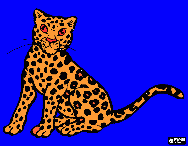 gratis malvorlagen Gepard