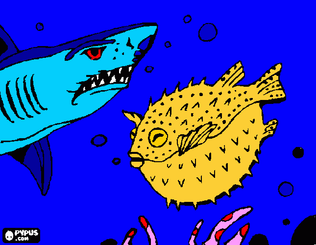 gratis malvorlagen hai fisch und kugelfisch ausmalbild