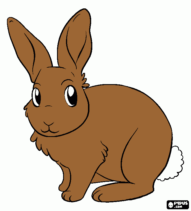gratis malvorlagen hase