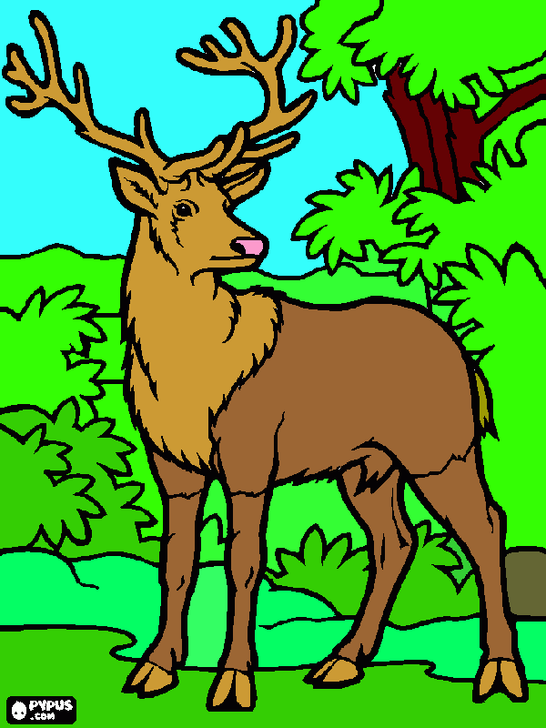 gratis malvorlagen Hirsch im wald