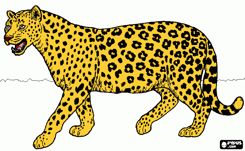 gratis malvorlagen Jaguar normal