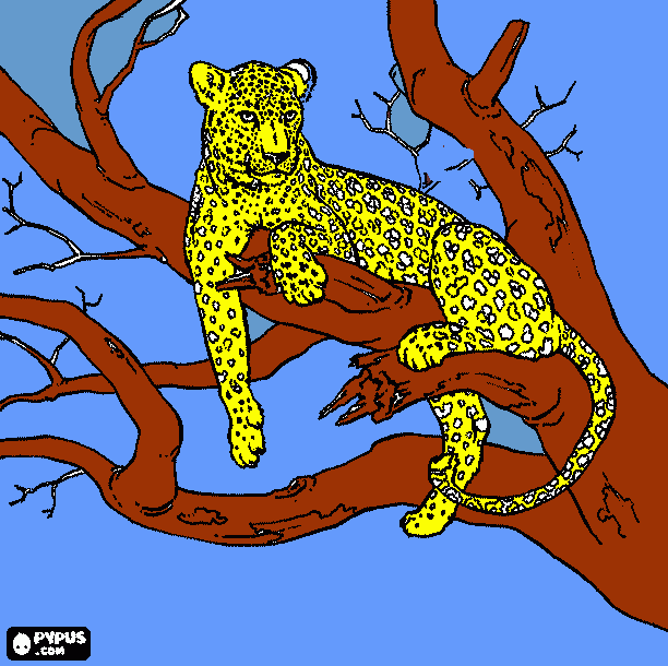 gratis malvorlagen leopard aufm baum
