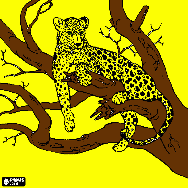 gratis malvorlagen Leopard