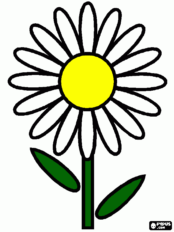 gratis malvorlagen Margeritenblüte