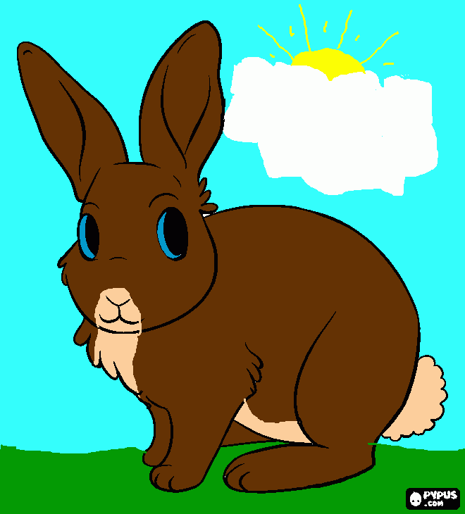 gratis malvorlagen mein hase