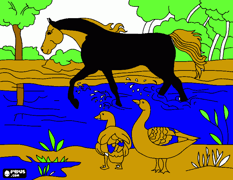 gratis malvorlagen pferd am see