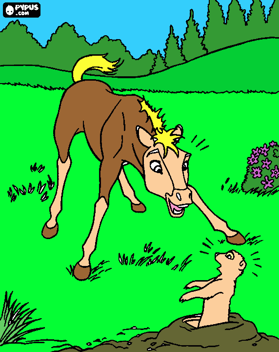 gratis malvorlagen Pferd und Präriehund