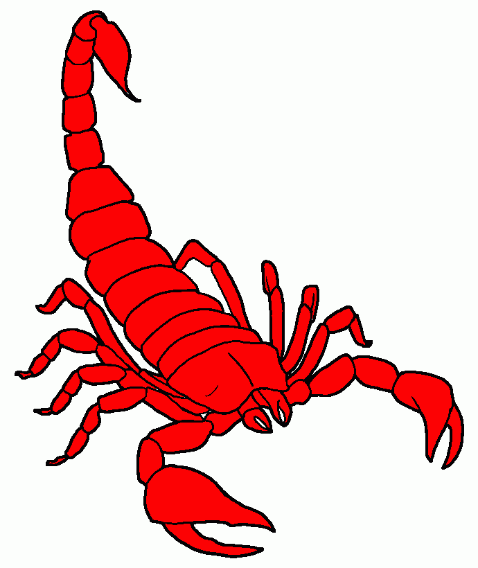 gratis malvorlagen skorpion