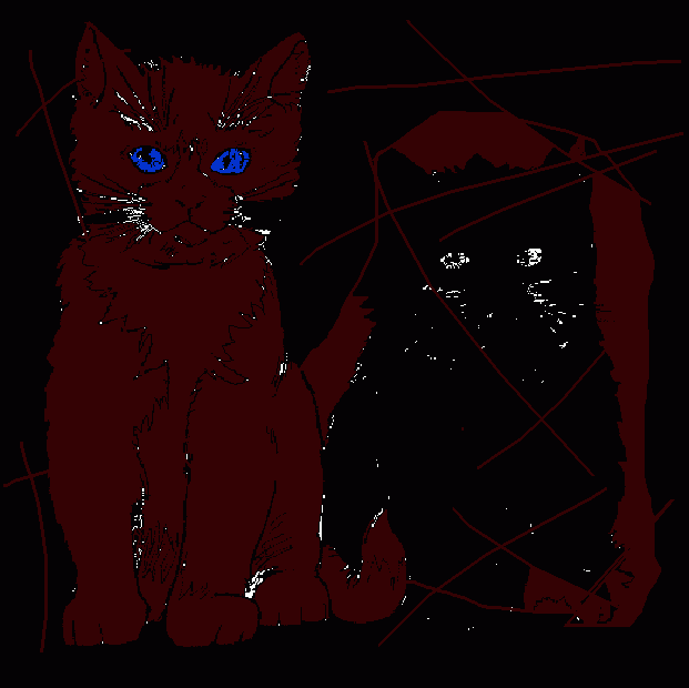 gratis malvorlagen spiegelbild der katze