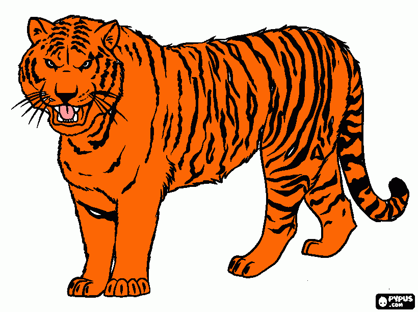 gratis malvorlagen Tiger normal