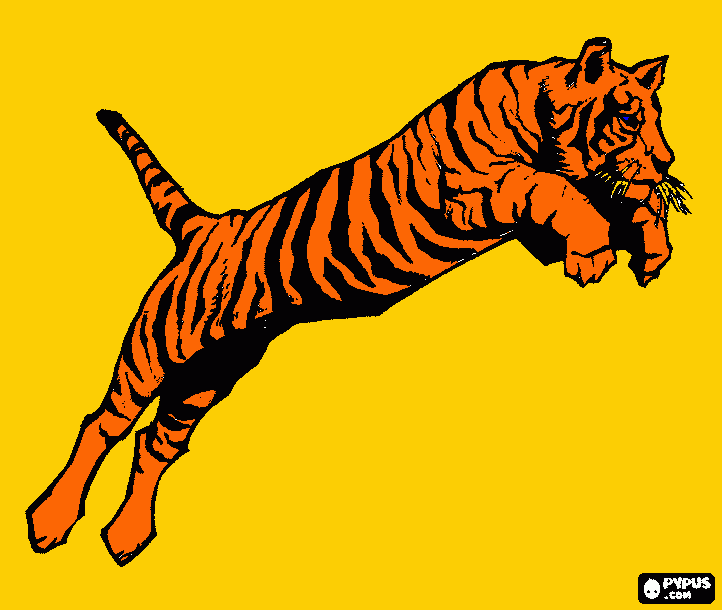 gratis malvorlagen Tiger