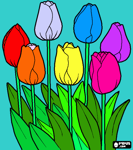 gratis malvorlagen tulpen