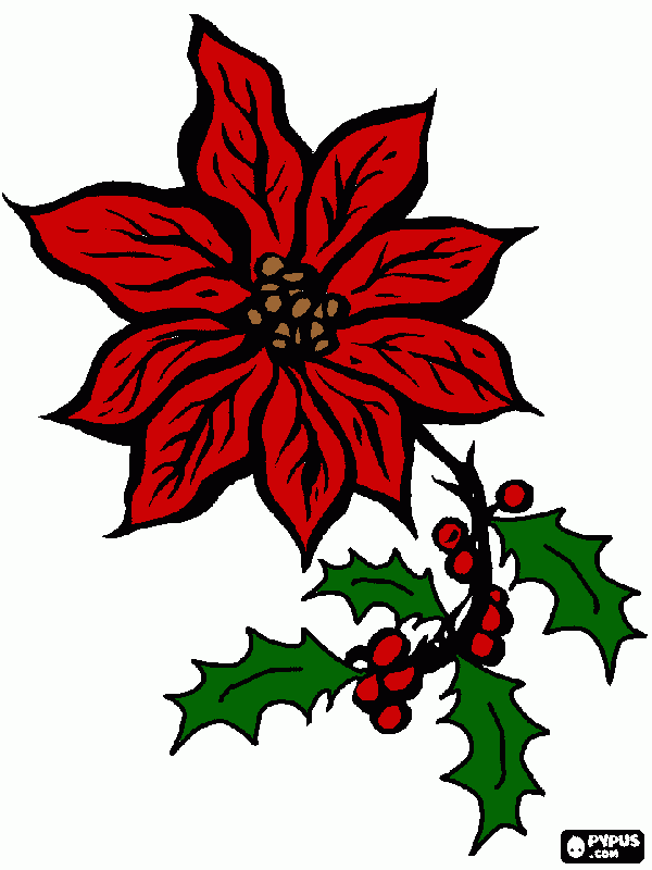 gratis malvorlagen Weihnachtsstern mit Stechpalme