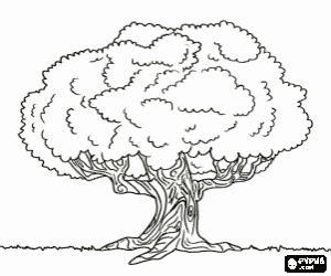 malvorlagen Alte Eiche ausmalbilder