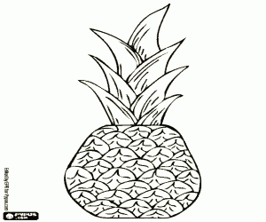 malvorlagen Eine Ananas, eine tropische Frucht ausmalbilder