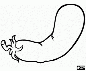 malvorlagen Auberginen, eine essbare Frucht ausmalbilder