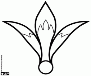 malvorlagen Eine Blume Amaryllus ausmalbilder