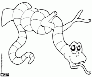 malvorlagen Boa ausmalbilder