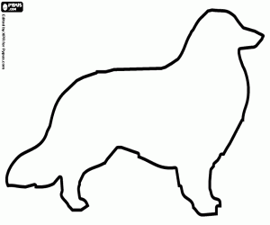 malvorlagen Border Collie Hund Silhouette ausmalbilder