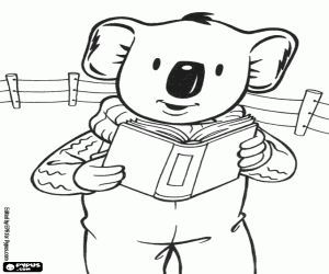malvorlagen Buster der Koala liest ein Buch ausmalbilder