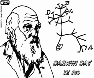 malvorlagen Darwins Baum der Evolution ausmalbilder