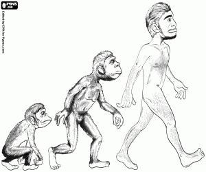 malvorlagen Drei Stufen, menschliche evolution ausmalbilder