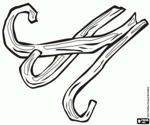 malvorlagen Drei Vanilleschoten ausmalbilder