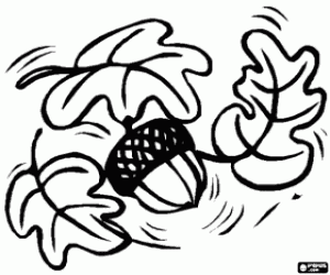 malvorlagen Einige Eichenlaub und eine Eichel ausmalbilder