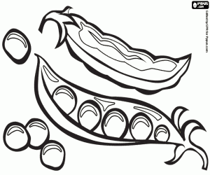 malvorlagen Die Erbsen und Erbsenschoten ausmalbilder