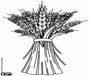 malvorlagen Die Ernte von Getreide, Weizen ausmalbilder