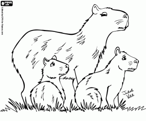 malvorlagen Familie der Wasserschweine, Capybaras ausmalbilder