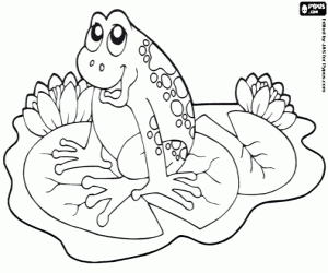 malvorlagen Ein Frosch auf einer Seerose ausmalbilder