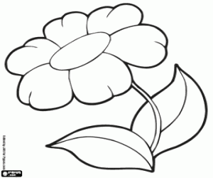 malvorlagen Gerbera ausmalbilder