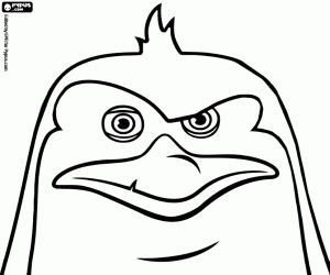 malvorlagen Gesicht von Rico, gekämmten Pinguin ausmalbilder