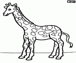 malvorlagen Giraffe, Ansicht von der Seite ausmalbilder