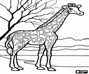 malvorlagen Giraffe in der landschaft ausmalbilder