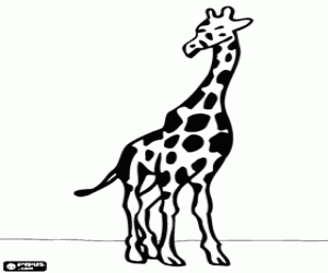 malvorlagen Eine Giraffe, Vorderansicht ausmalbilder