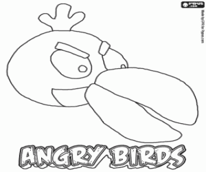malvorlagen Green Bird, Vogel von Angry Birds ausmalbilder