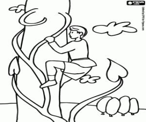 malvorlagen Hans und die Bohnenranke ausmalbilder
