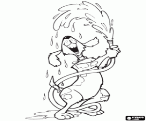 malvorlagen Der Hund spielt mit Wasser ausmalbilder