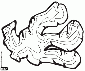 malvorlagen Ingwer, eine pikante Würze ausmalbilder