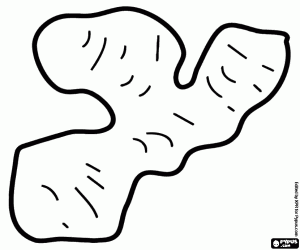 malvorlagen Ingwer, ein Rhizom ausmalbilder