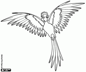 malvorlagen Jewel glänzt mit ihren Federn ausmalbilder