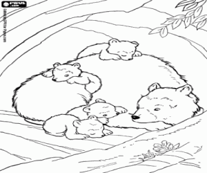 malvorlagen Jungtiere mit ihrer Mutter zu tragen ausmalbilder