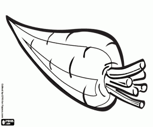 malvorlagen Die Karotte, eine Wurzel, ein Gemüse ausmalbilder