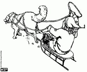 malvorlagen Kind auf ein Schlitten mit ein husky ausmalbilder