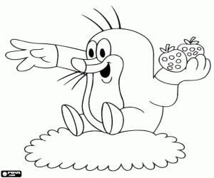 malvorlagen Kleine Maulwurf mit Erdbeeren in hand ausmalbilder