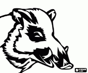 malvorlagen Kopf des Wildschwein mit Hauer ausmalbilder