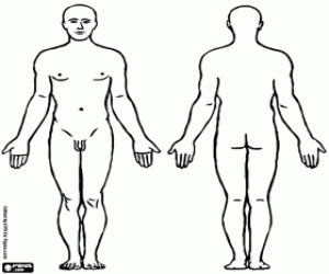 malvorlagen Der Körper eines Mannes ausmalbilder